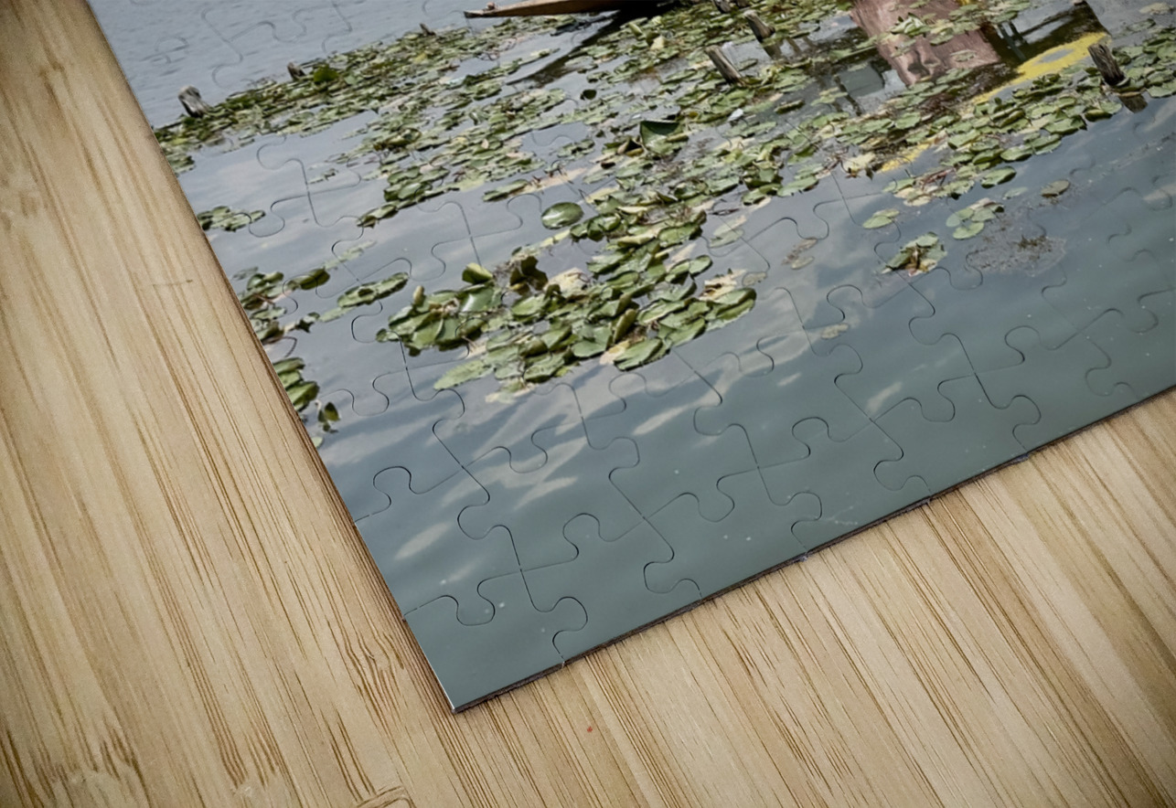 Dal Lake Srinagar 9 Jimmy Roy Photos Puzzle
