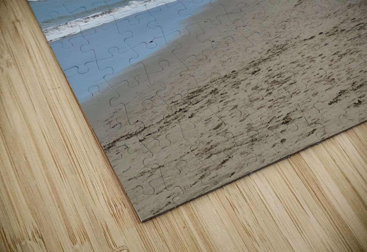 Thinking on the Beach Jimmy Roy Photos Puzzle