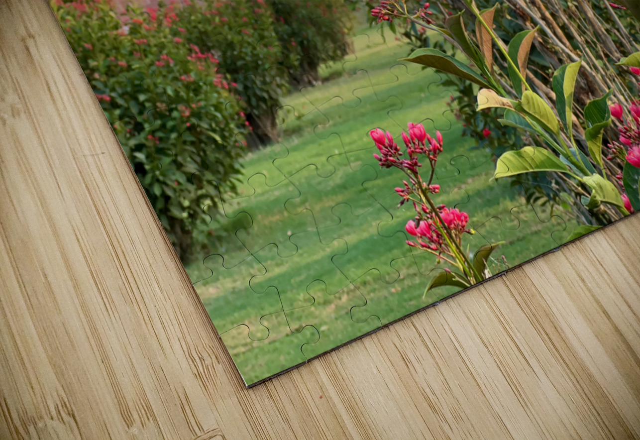 The Taj Mahal Collection 1 Jimmy Roy Photos Puzzle