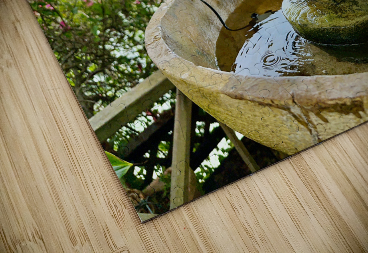 Maboul Island 5 Jimmy Roy Photos Puzzle