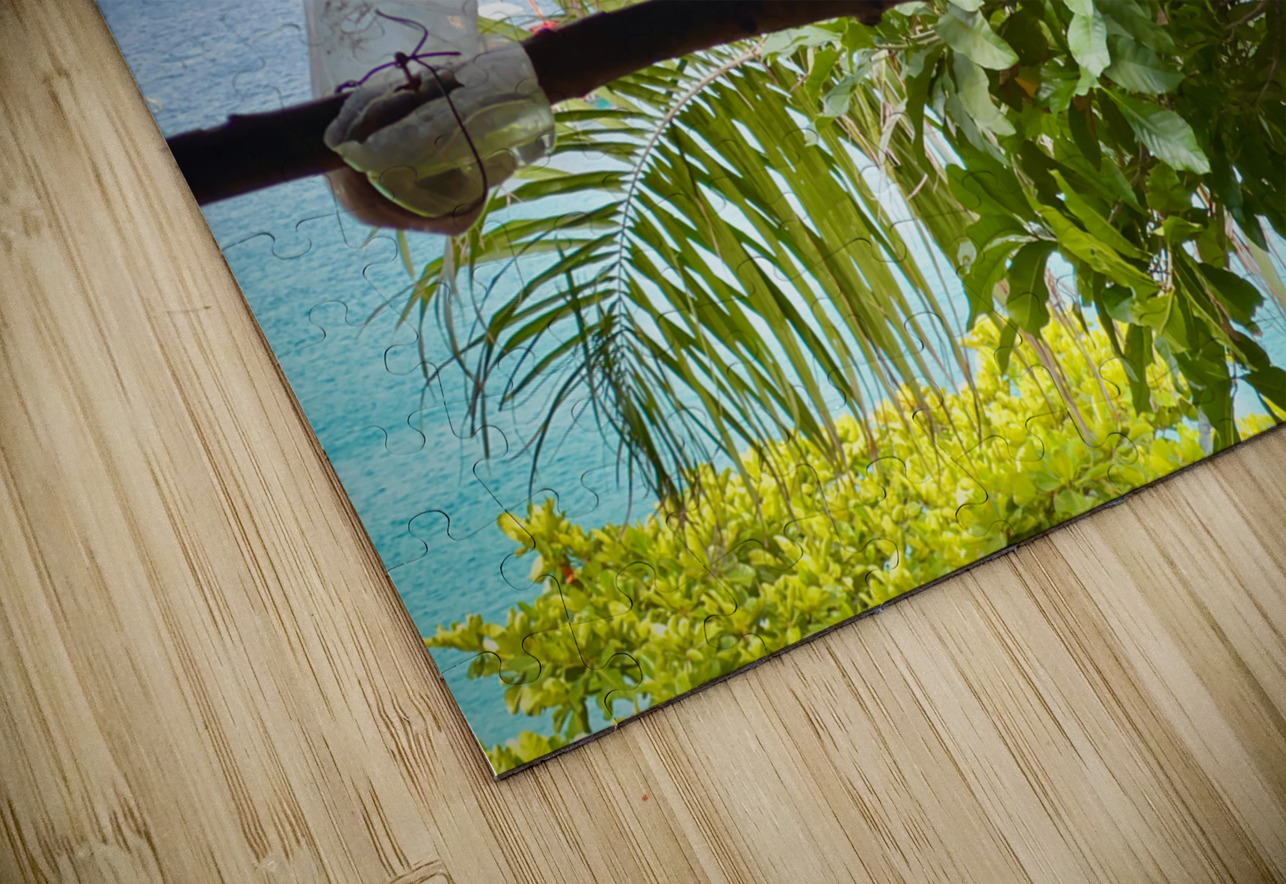 Bird Couple Koh Tao Thailand Jimmy Roy Photos Puzzle