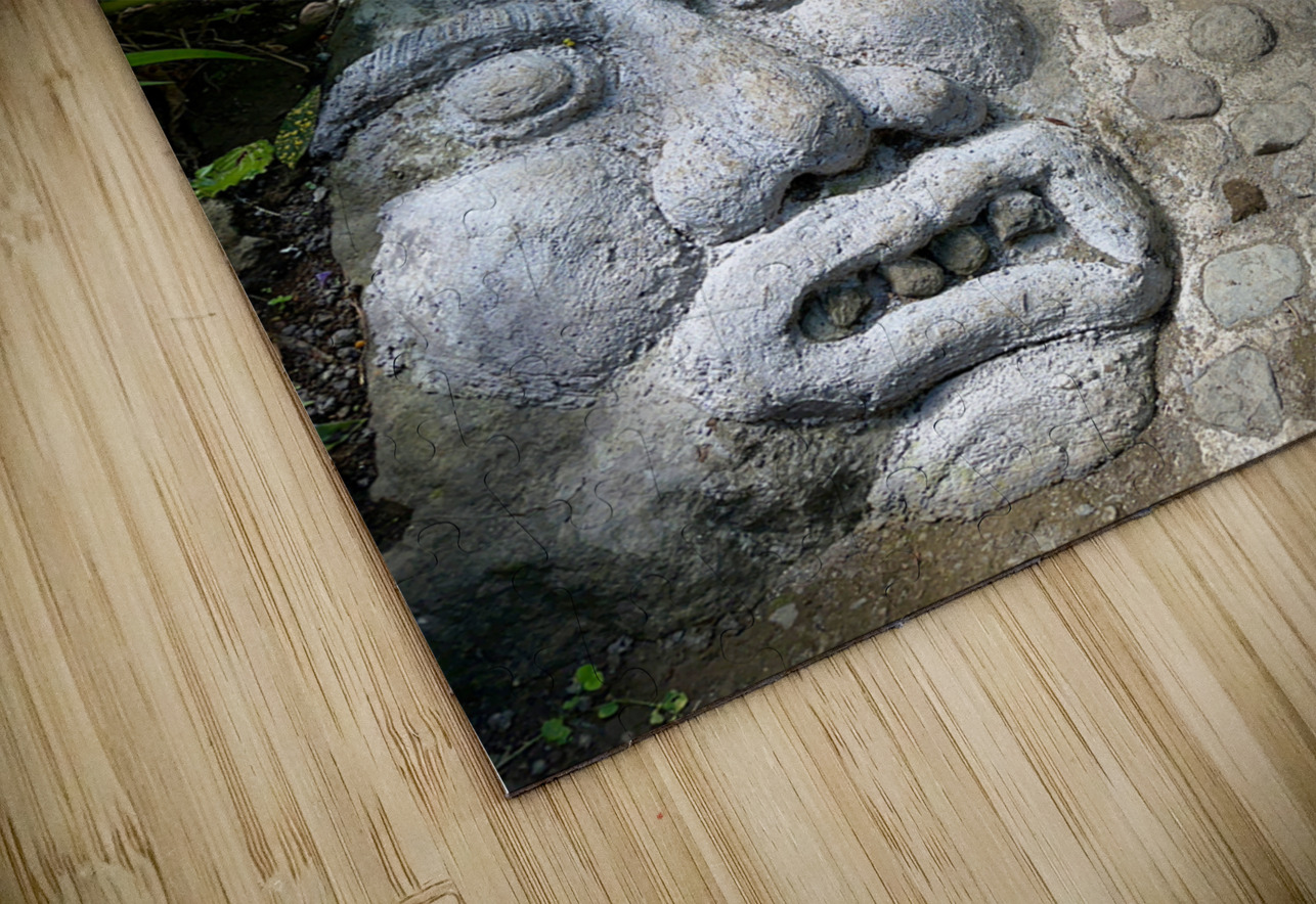 Face in the Ground Munduk Bali Jimmy Roy Photos Puzzle