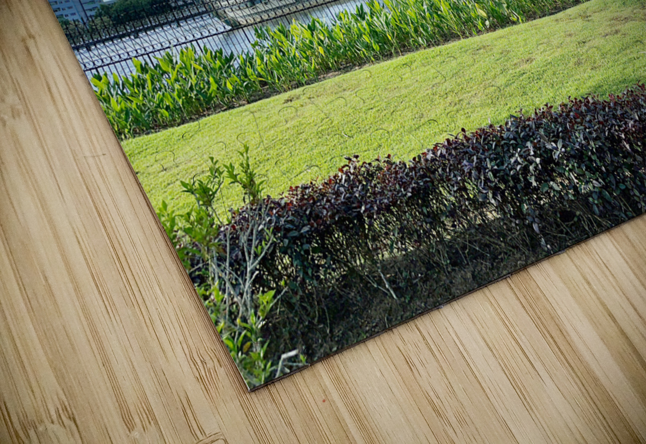 Omar Ali Saifuddien Mosque Collection Brunei 3 Jimmy Roy Photos Puzzle