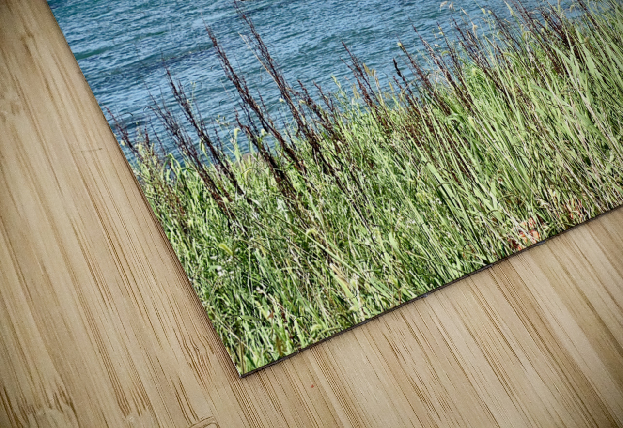 Calm Ocean Udo South Korea Jimmy Roy Photos Puzzle