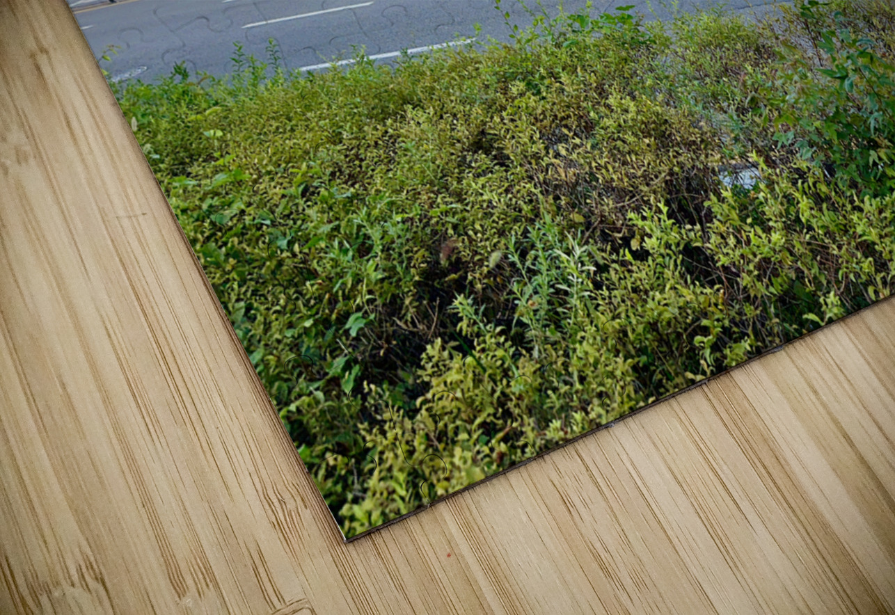 Heunginjimun Street View Seoul South Korea Jimmy Roy Photos Puzzle