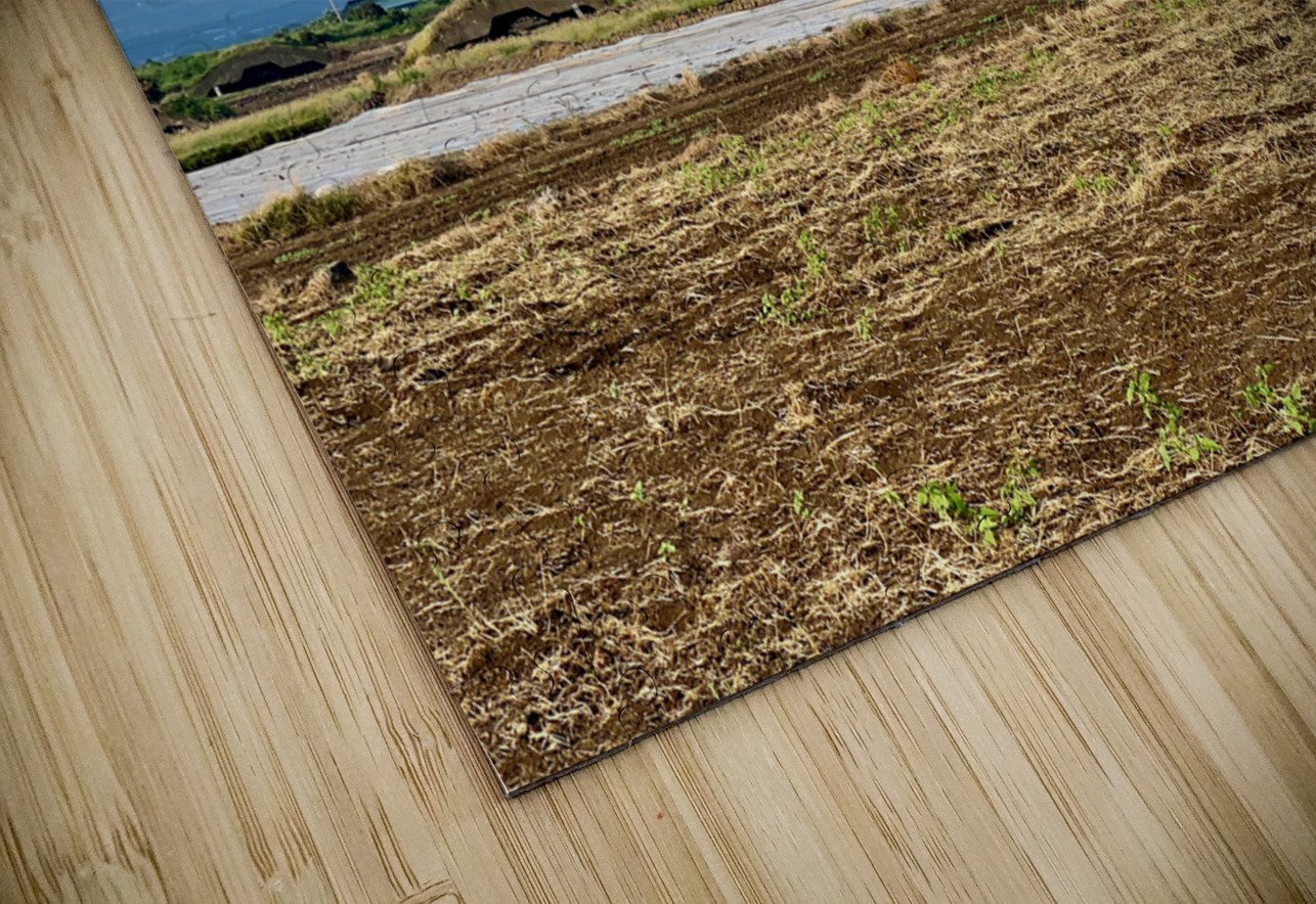 Sanbangsan Mount Jeju South Korea 1 Jimmy Roy Photos Puzzle