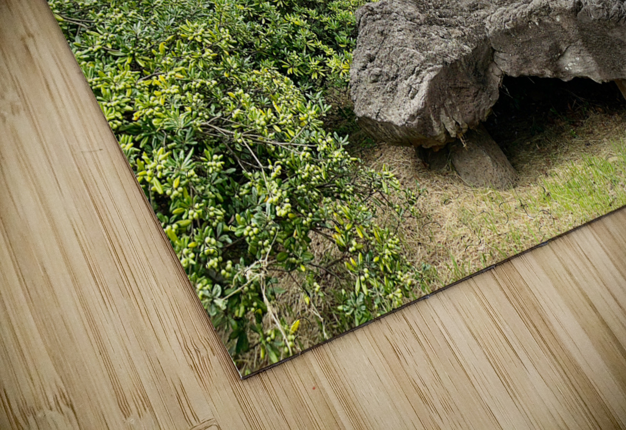 The Big Rock Jeju South Korea Jimmy Roy Photos Puzzle