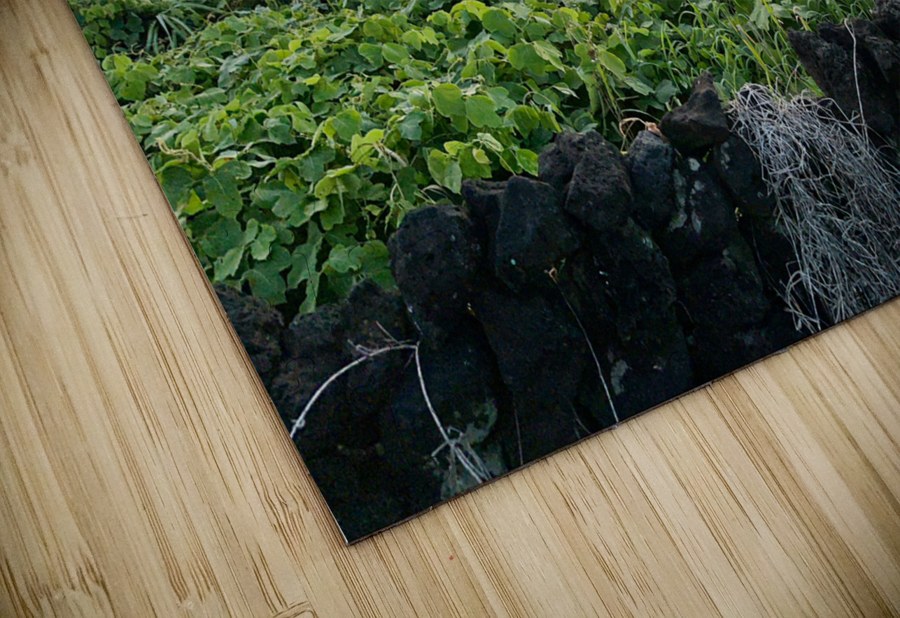 The Sunset Behind Jeju South Korea Jimmy Roy Photos Puzzle