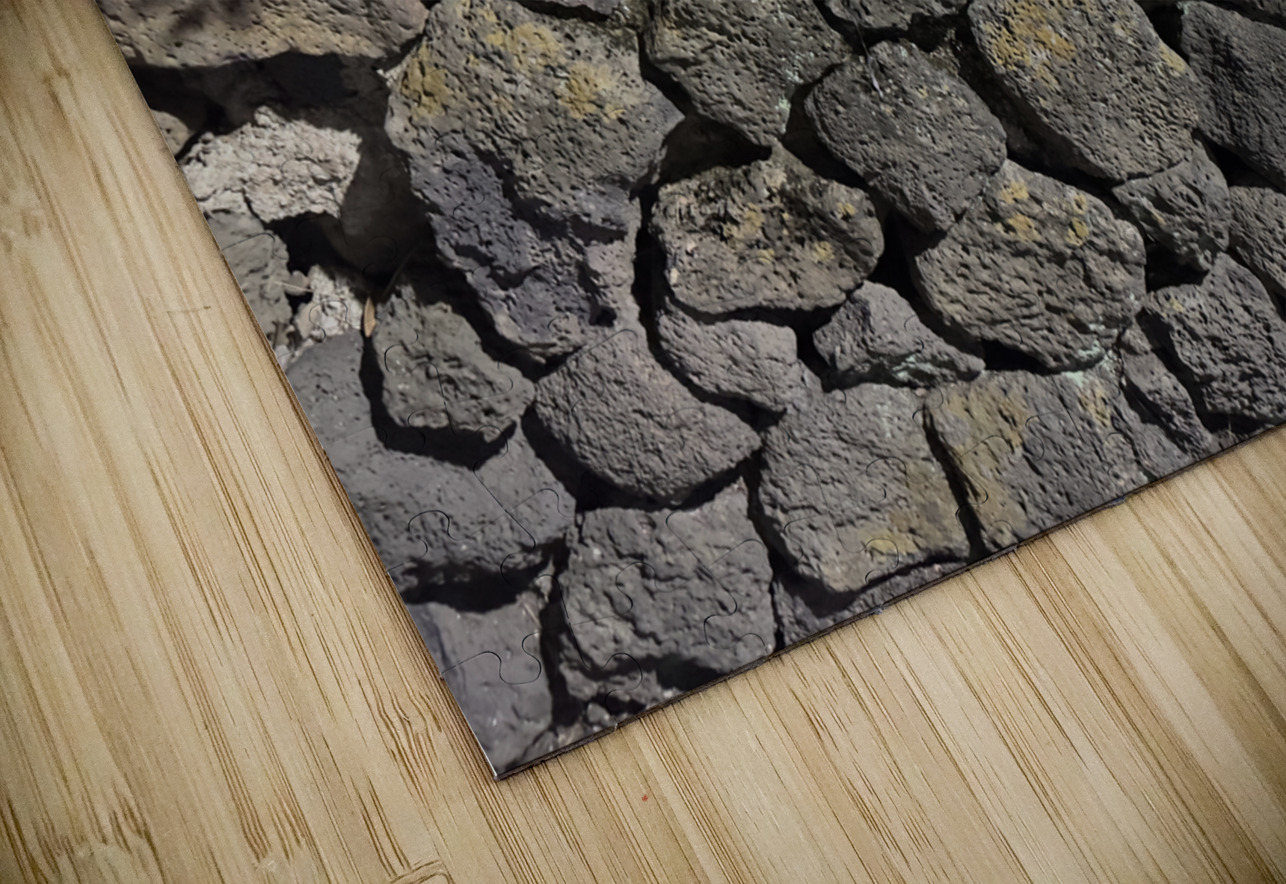 The Black Wall and the Orange Flower Jeju Korea Jimmy Roy Photos Puzzle