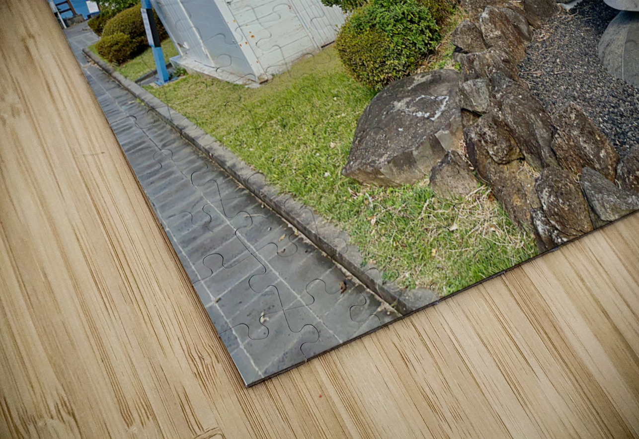 The White Strip Udo South Korea Jimmy Roy Photos Puzzle