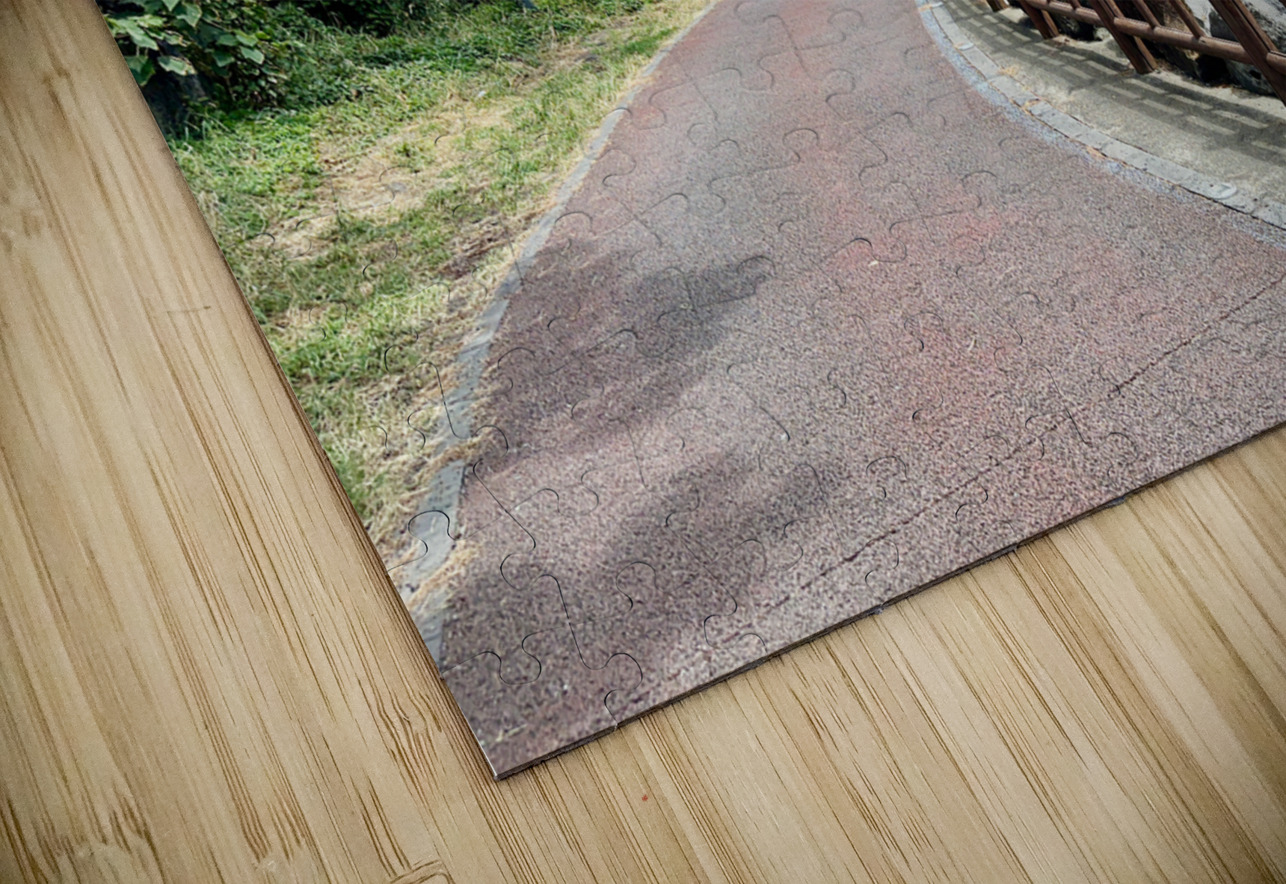 The Way Jeju South Korea Jimmy Roy Photos Puzzle