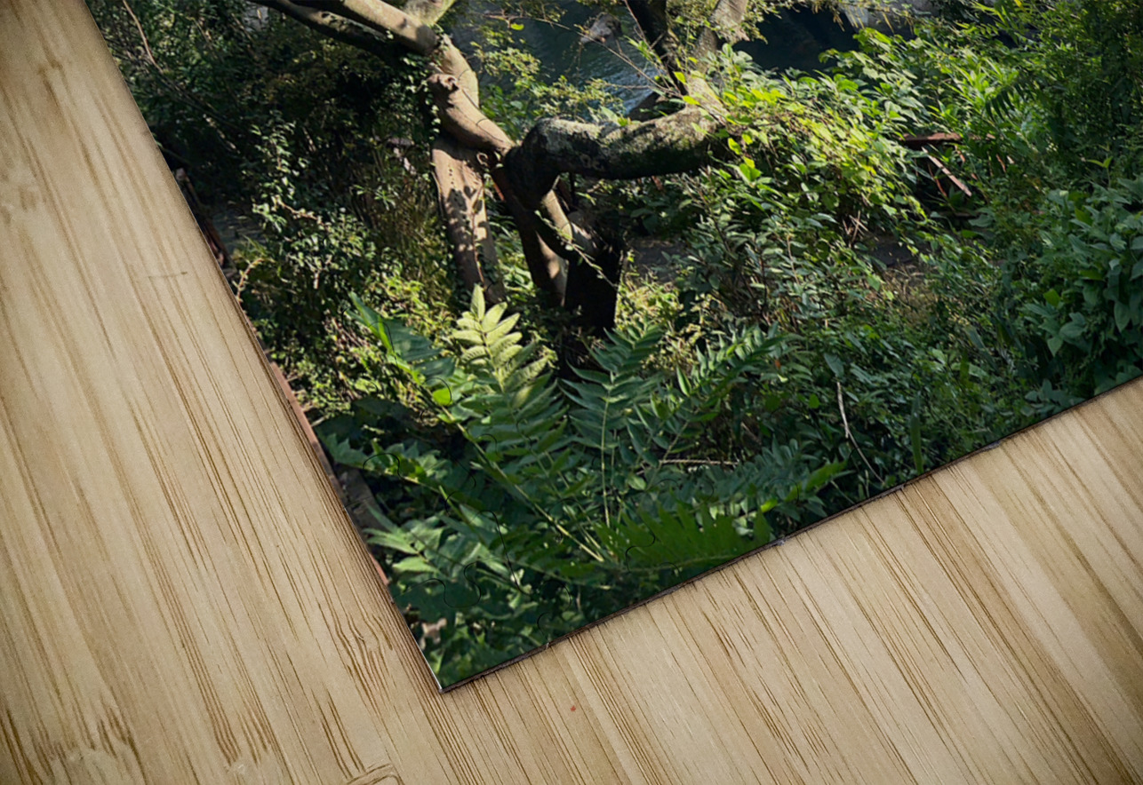 Around Jeju City South Korea 8 Jimmy Roy Photos Puzzle