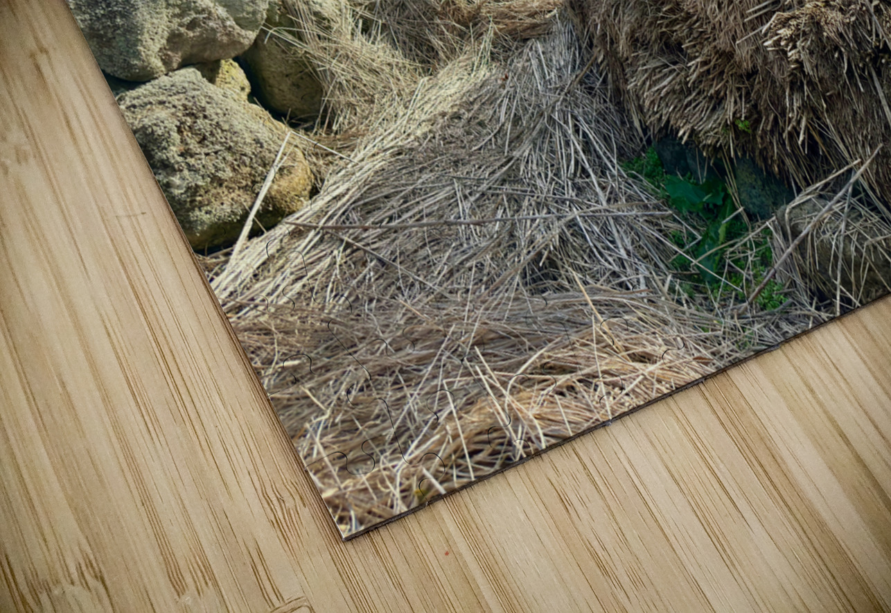 Stone Park Jeju South Korea 3 Jimmy Roy Photos Puzzle