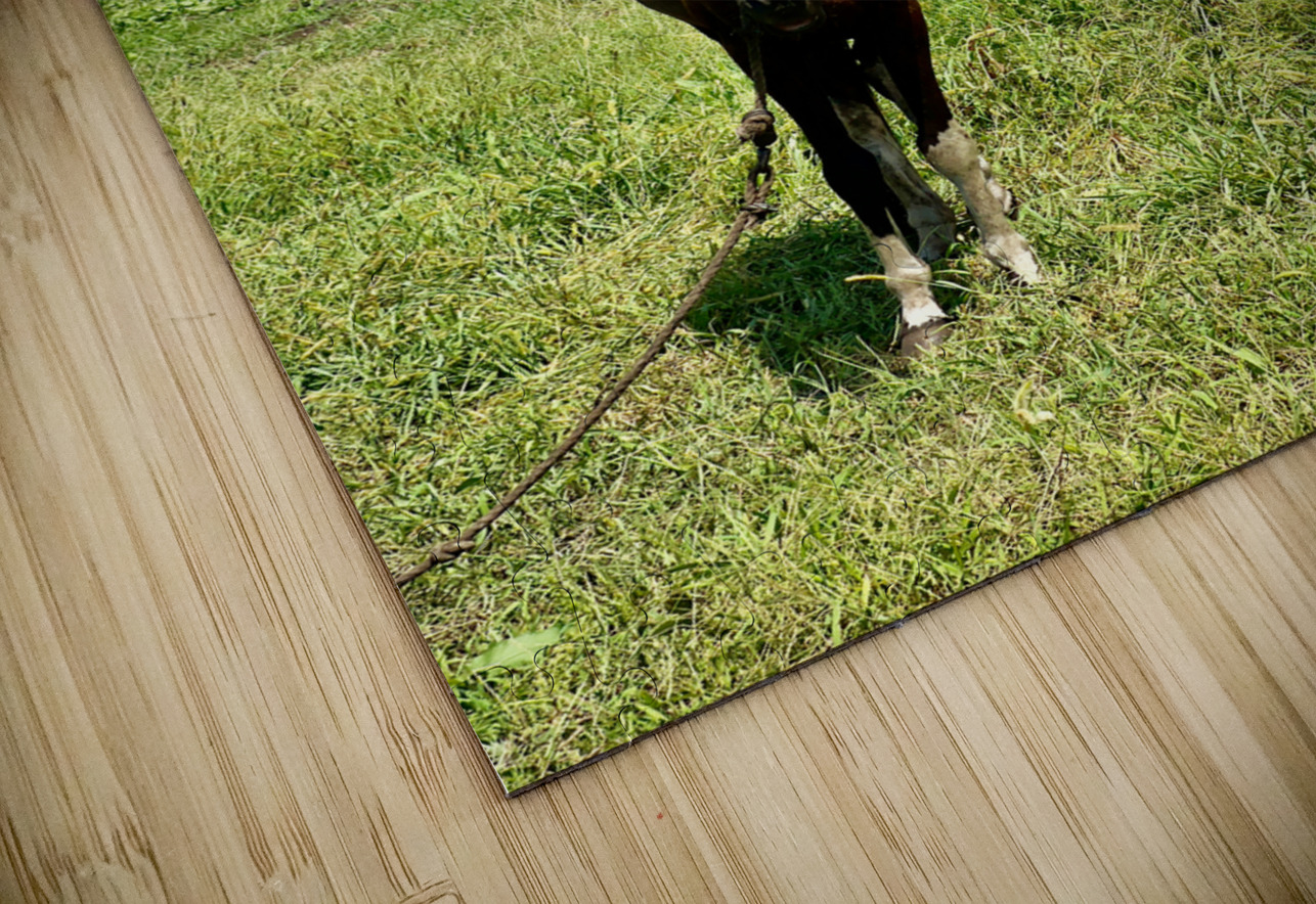 Seopjikoji Jeju South Korea 2 Jimmy Roy Photos Puzzle