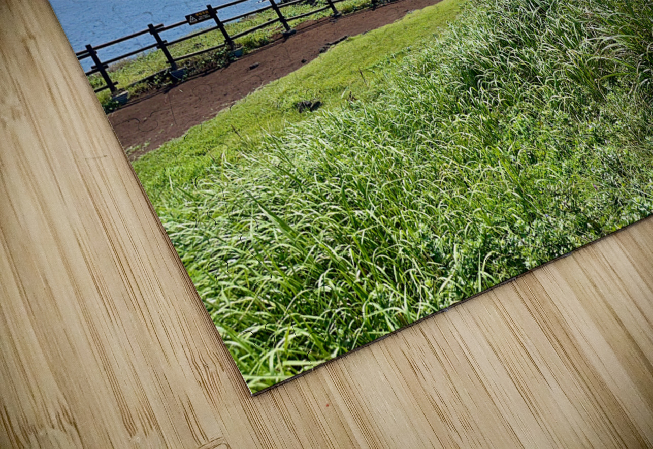 Seopjikoji Jeju South Korea 4 Jimmy Roy Photos Puzzle