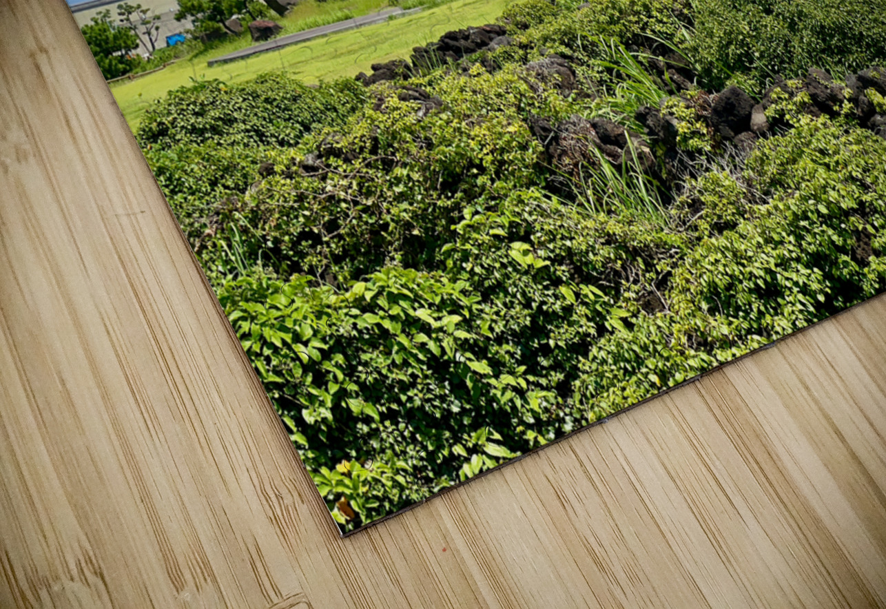 Seongsan Ilchulbong Jeju South Korea 4 Jimmy Roy Photos Puzzle