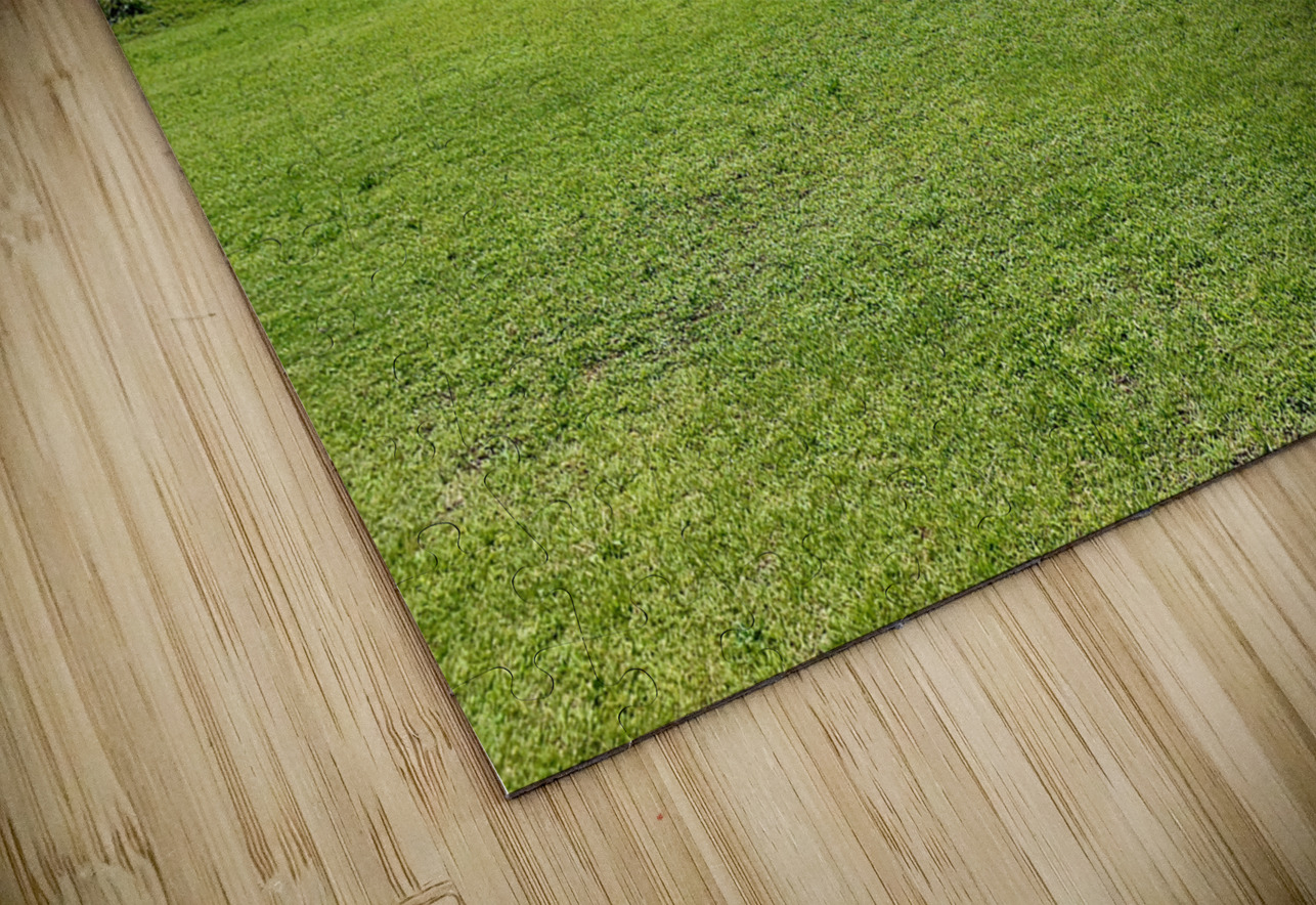 Seopjikoji Jeju South Korea 1 Jimmy Roy Photos Puzzle