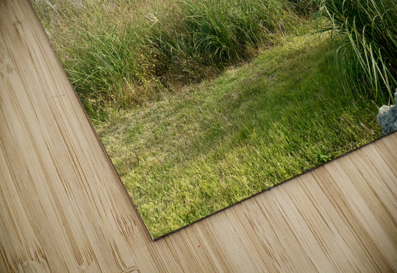 Stone Park Jeju South Korea 2 Jimmy Roy Photos Puzzle