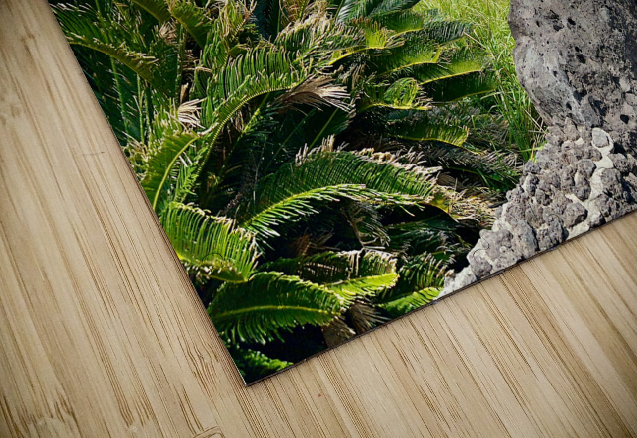 Seopjikoji Jeju South Korea 6 Jimmy Roy Photos Puzzle