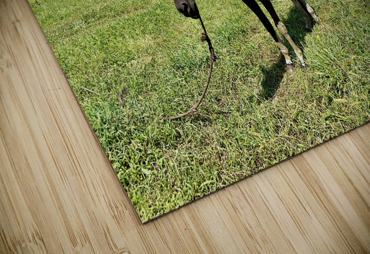 Seopjikoji Jeju South Korea 3 Jimmy Roy Photos Puzzle