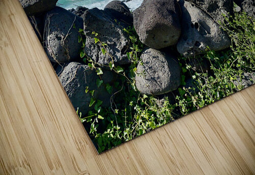 A Glimpse at the Ocean Jeju South Korea Jimmy Roy Photos puzzle