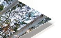 White Trees Impression metal HD
