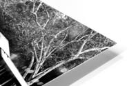 BW Covered Bridge Reflections HD Metal print
