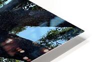 Yala National Park Sri Lanka 3 HD Metal print