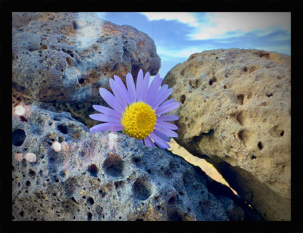 Impression de cadre personnalisé