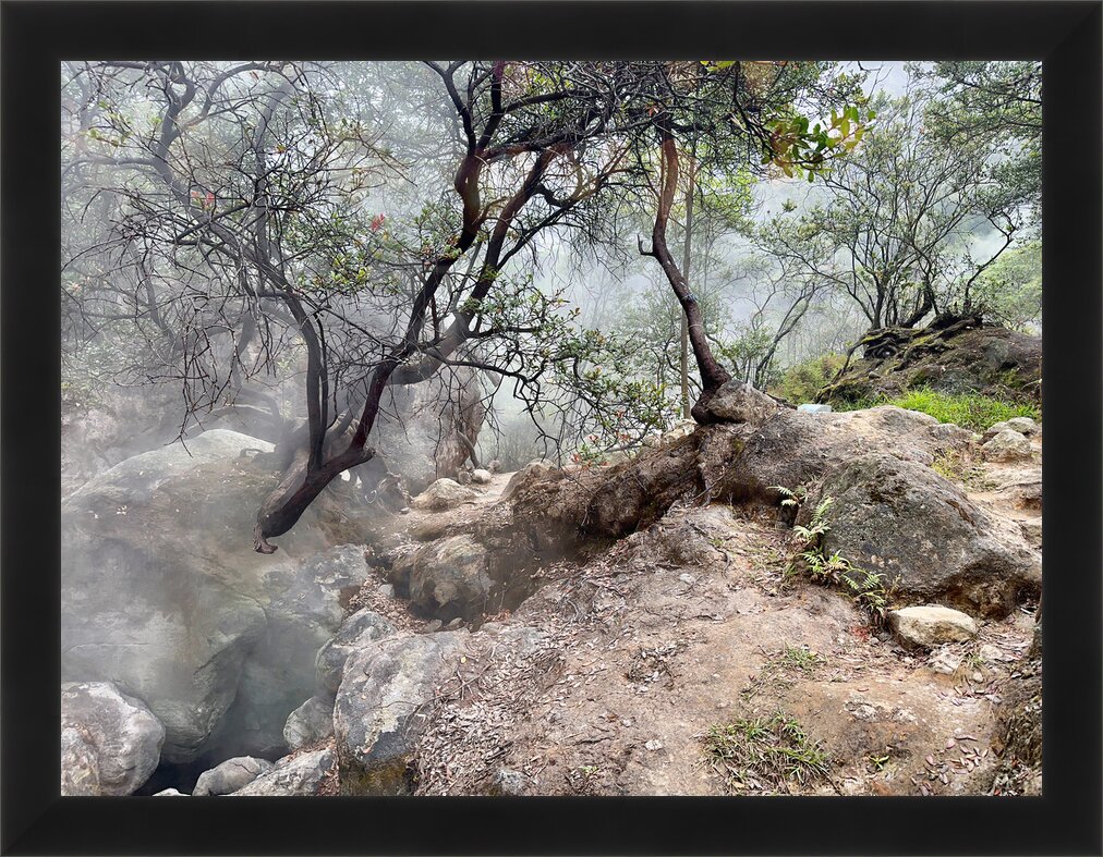 Impression de cadre personnalisé