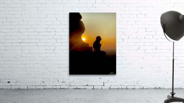 Enlightened Monkey at Sunset by Jimmy Roy Photos