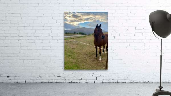 Horse by the Mountains Wall Preview
