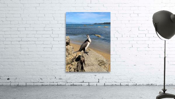 Angry Bird by Jimmy Roy Photos