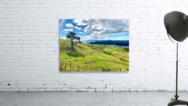 Beautiful Scenery by Jimmy Roy Photos