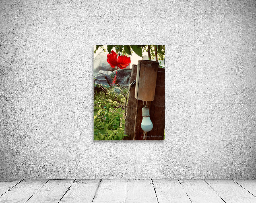 Red Flower & Homemade Lamp in Thailand by Jimmy Roy Photos