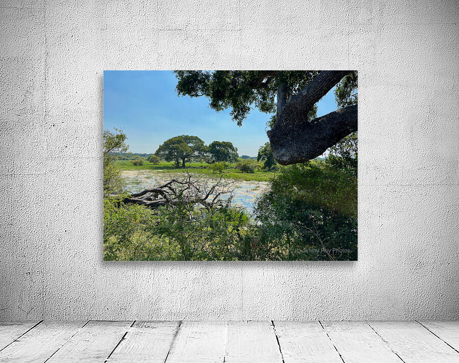 Yala National Park Sri Lanka 3 by Jimmy Roy Photos