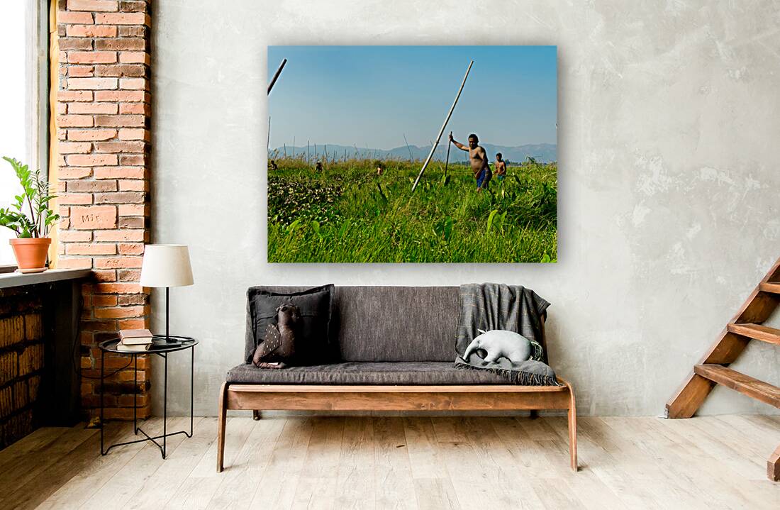 Working in the Field Reproduction