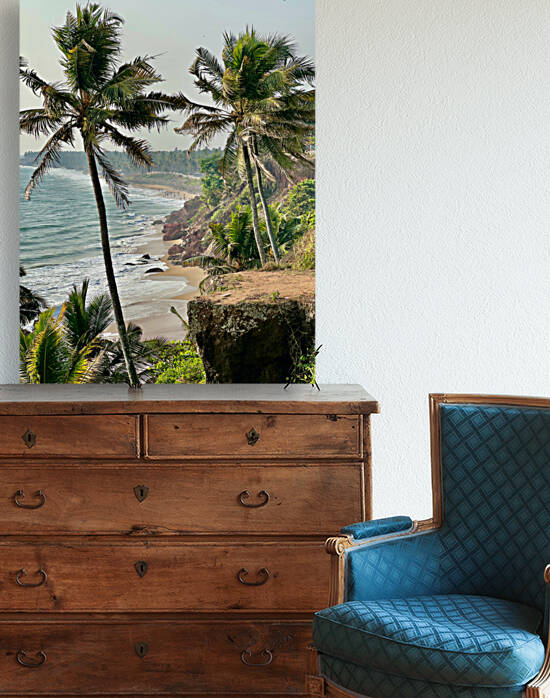 Palm Trees by the Beach by Jimmy Roy Photos