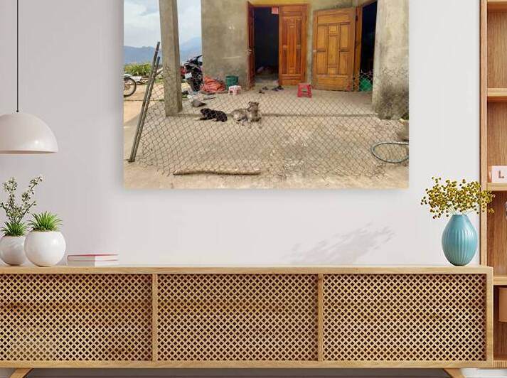 Behind the Crooked Fence by Jimmy Roy Photos