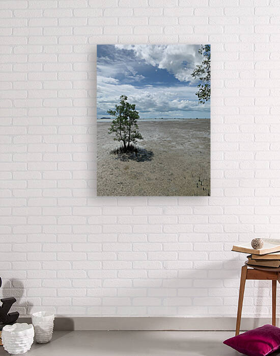 The Tree by Jimmy Roy Photos