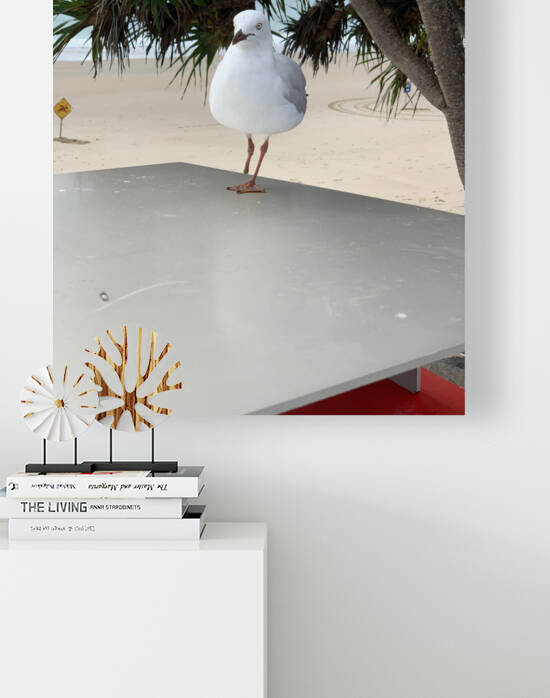 One Leg Balance by Jimmy Roy Photos