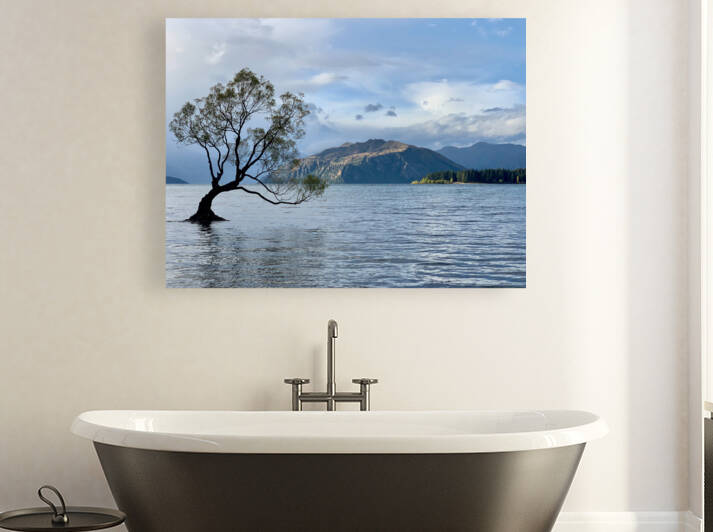 The Wanaka Tree New Zealand by Jimmy Roy Photos