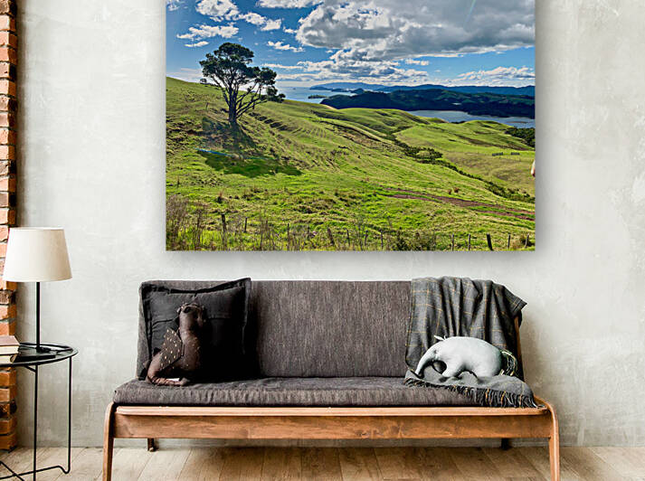 Beautiful Scenery by Jimmy Roy Photos