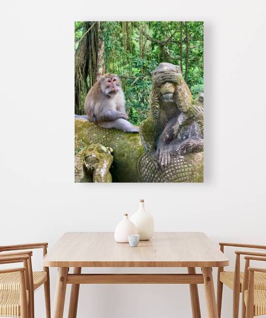 Are you for Real Monkey  by Jimmy Roy Photos