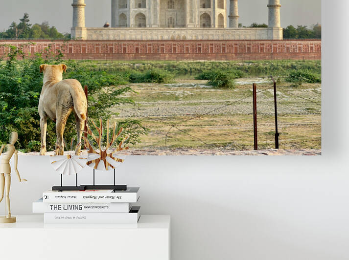 The Taj Mahal Collection 9 by Jimmy Roy Photos