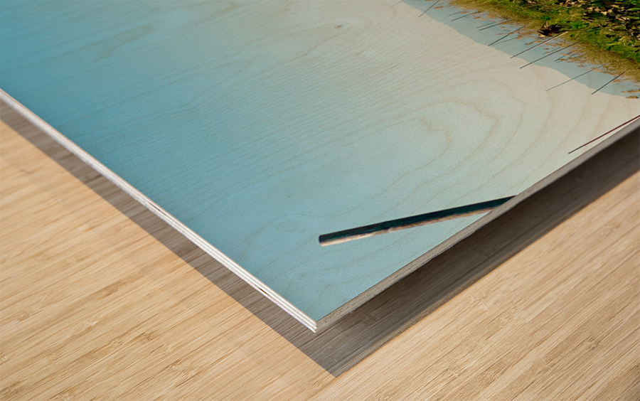 Working in the Field Wood print