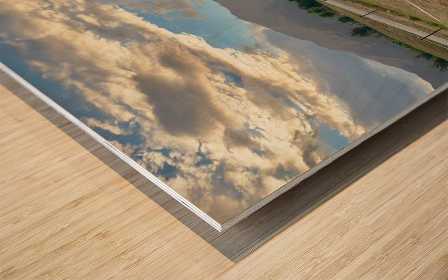 Horse by the Mountains Wood print