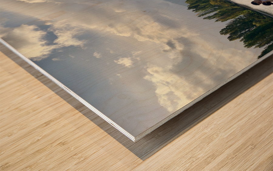 Newlyweds by the Wanaka Tree Wood print