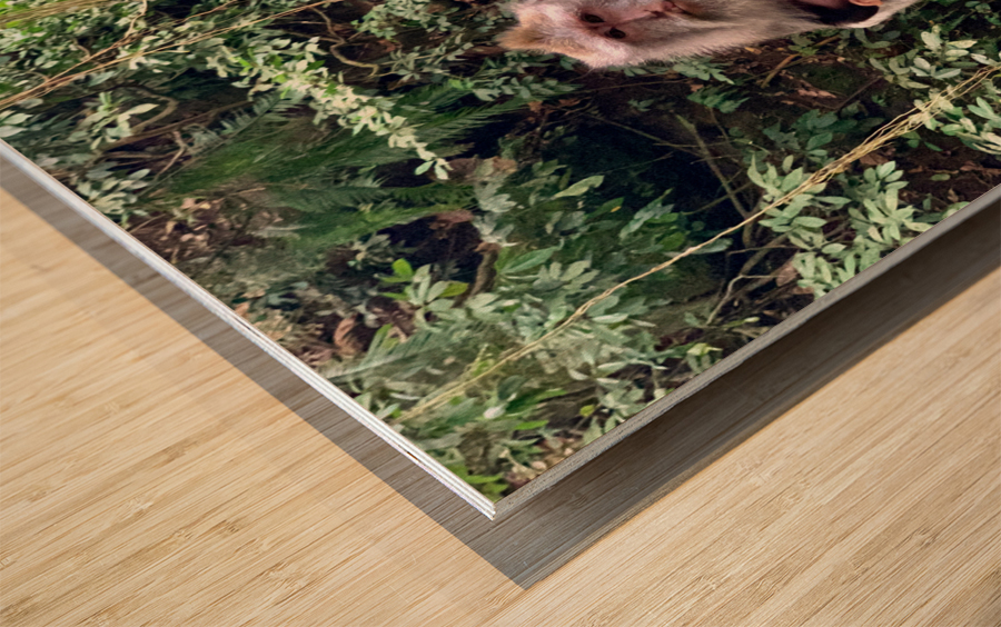 Mama Monkey Wood print