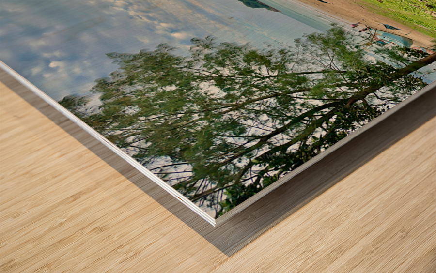 Stand Alone by the Sea Wood print